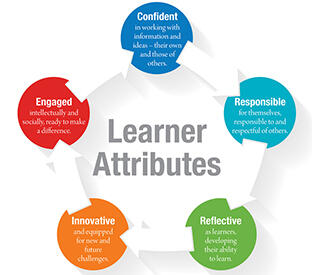 Learner attributes graphic