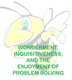 wonderment, inquisitiveness and the enjoyment ofproblem solving