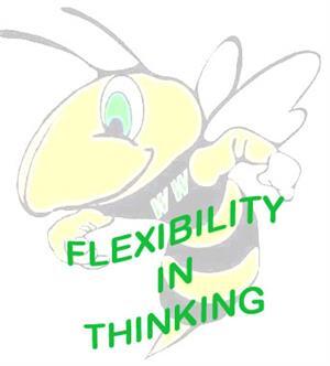 flexibility in thinking